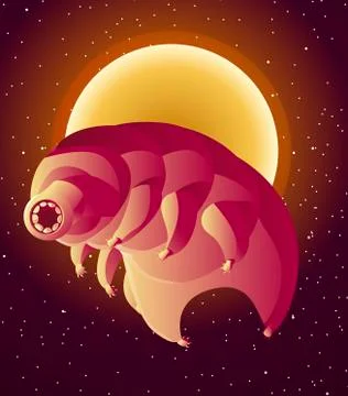 Cute tiny tardigrade Stock Illustration