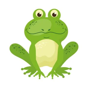 Cute toad animal Stock Illustration