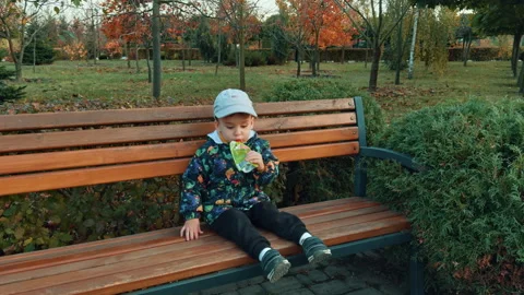 Cute toddler boy in jacket and cap sits on the bench in autumn park Stock Footage 254630632