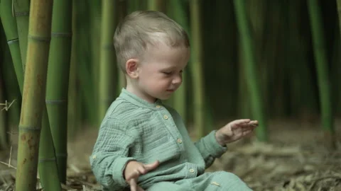 Cute toddler boy throwing dry leaves in a bamboo forest 库存影片 337138672