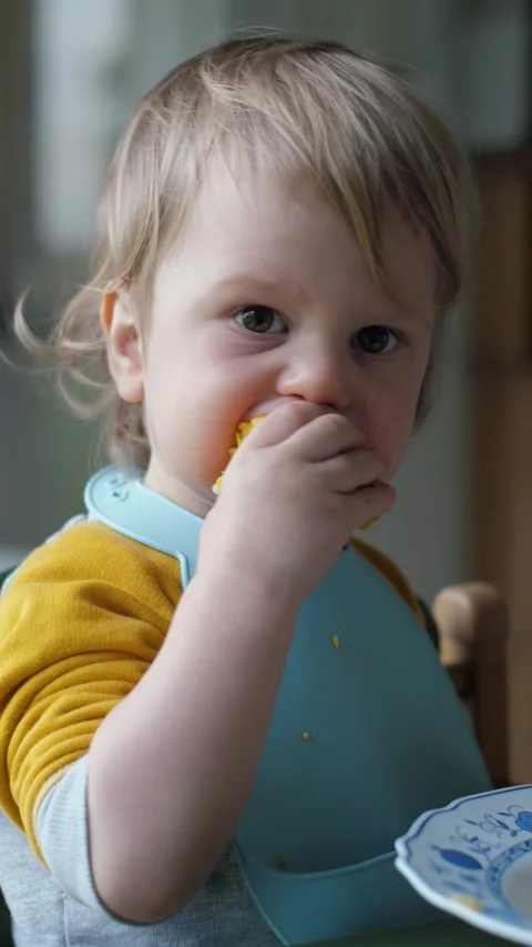 Cute Toddler Enjoying Corn Snack Stock Footage 315536747