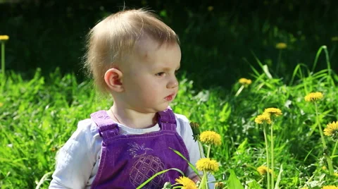 Cute toddler on flower field in sunny day Stock Footage 59654972