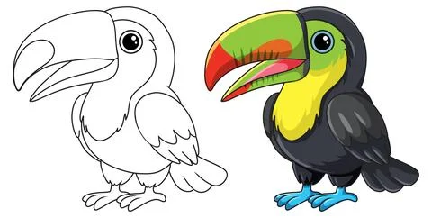 Cute Toucan Bird Vector Illustration in Color and Line Art Style Stock Illustration