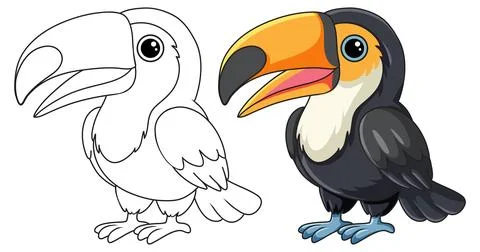 Cute Toucan Bird Vector Illustration in Color and Outline Style Stock Illustration