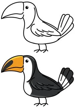 Cute Toucan Bird Vector Illustration in Color and Outline Stock Illustration