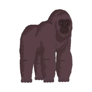 Cute tropical brown gorilla monkey. Vector illustration isolated on white Stock Illustration