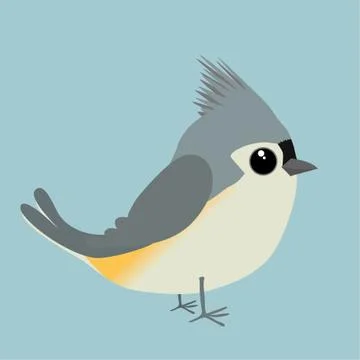 A cute tufted titmouse comic illustration. Cut out on a blue background. Illustrazione stock