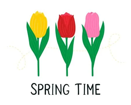 Cute tulip flowers. Postcard with spring tulips. Vector illustration Stock Illustration