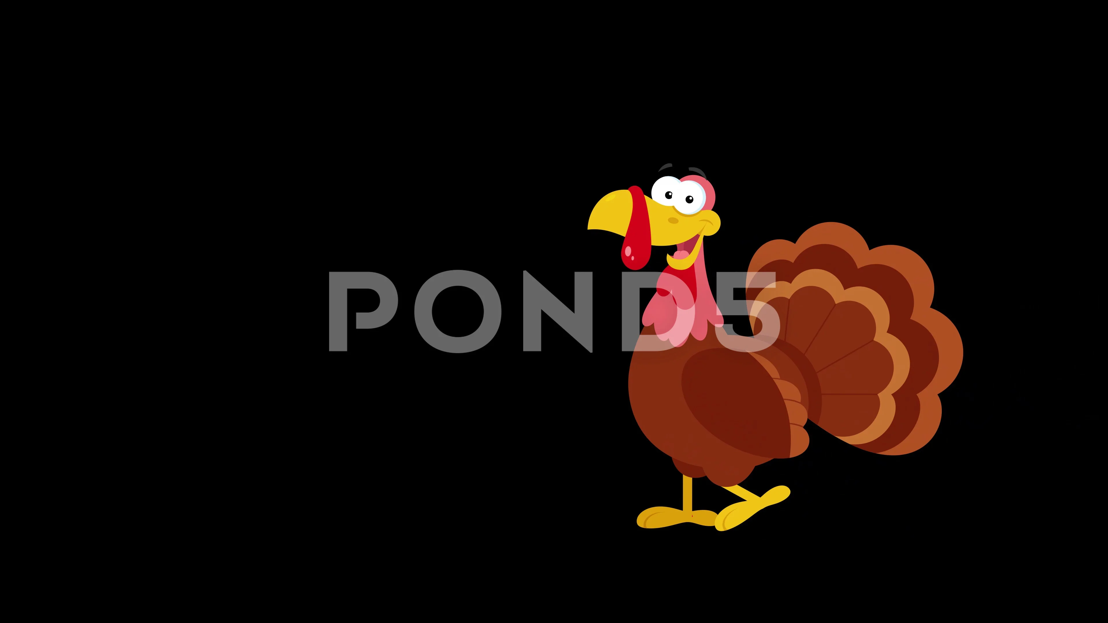 Cute Turkey Cartoon Character Walking Ov... | Stock Video | Pond5