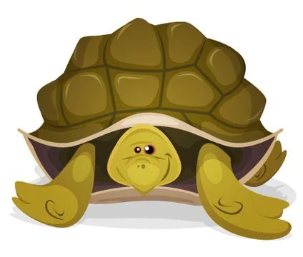 Cute Turtle Character Stock Illustration