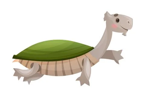 Cute Turtle with Green Shell as Australian Animal and Endemic Fauna Vector Stock Illustration