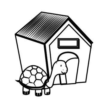 Cute turtle pet isolated icon Illustrazione stock