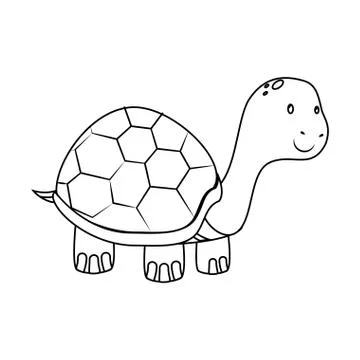 Cute turtle pet isolated icon Stock Illustration