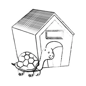 Cute turtle pet isolated icon Illustrazione stock