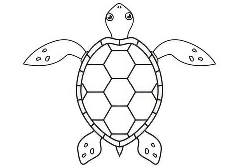 Cute turtle with shell and flippers in a simple black and white drawing Stock Illustration