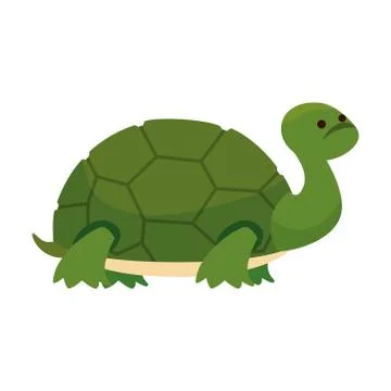 Cute turtle wild character Illustrazione stock