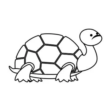 Cute turtle wild character Illustrazione stock
