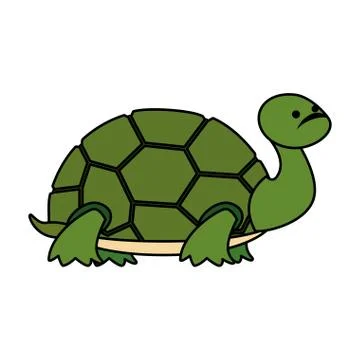 Cute turtle wild character Ilustración de archivo