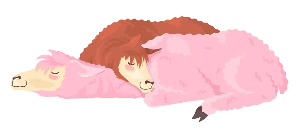 Cute two llamas alpacas sleeping flat vector Stock Illustration