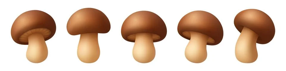 Cute Vector 3D Realistic Mushroom Icon Set. Cartoon Fungi Illustrations Closeup Stock Illustration