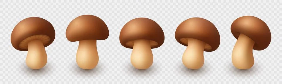 Cute Vector 3D Realistic Mushroom Icon Set. Cartoon Fungi Illustrations Closeup Stock Illustration