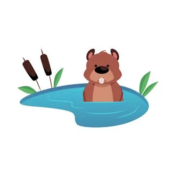 Cute vector beaver in a pond, rodent with protruding teeth. Stock Illustration
