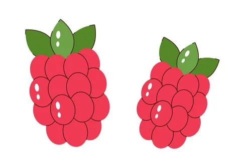Cute vector cartoon illustration of two ripe red raspberries Stock Illustration