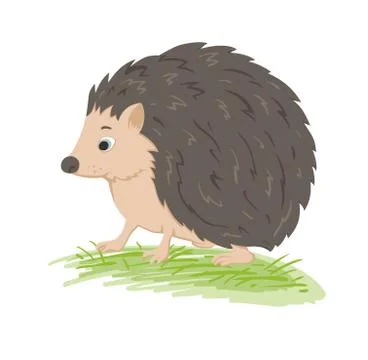 Cute vector  forest hedgehog Stock Illustration