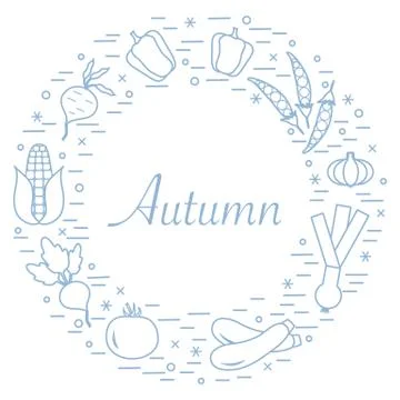 Cute vector illustration of different autumn seasonal vegetables arranged in  스톡 일러스트