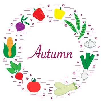 Cute vector illustration of different autumn seasonal vegetables arranged in  스톡 일러스트