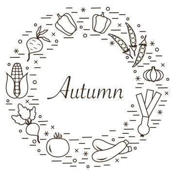 Cute vector illustration of different autumn seasonal vegetables arranged in  스톡 일러스트