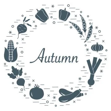 Cute vector illustration of different autumn seasonal vegetables arranged in  스톡 일러스트