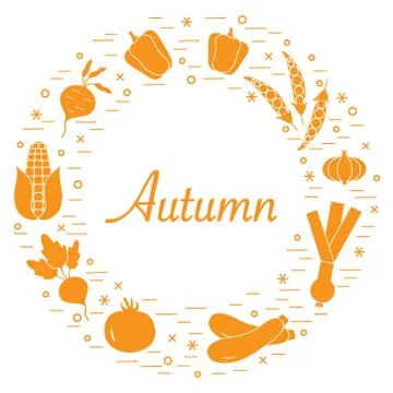 Cute vector illustration of different autumn seasonal vegetables arranged in  스톡 일러스트