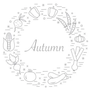 Cute vector illustration of different autumn seasonal vegetables arranged in  스톡 일러스트