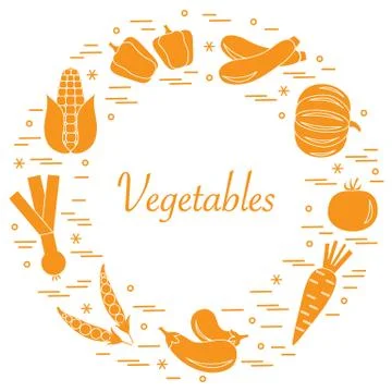 Cute vector illustration of different autumn seasonal vegetables arranged in  Stock Illustration