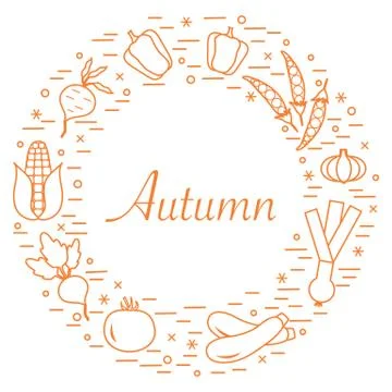 Cute vector illustration of different autumn seasonal vegetables arranged in  스톡 일러스트