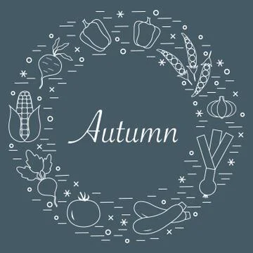 Cute vector illustration of different autumn seasonal vegetables arranged in  스톡 일러스트