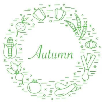 Cute vector illustration of different autumn seasonal vegetables arranged in  스톡 일러스트