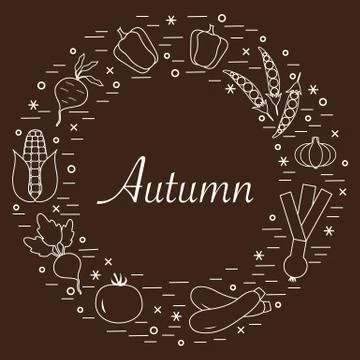 Cute vector illustration of different autumn seasonal vegetables arranged in  스톡 일러스트