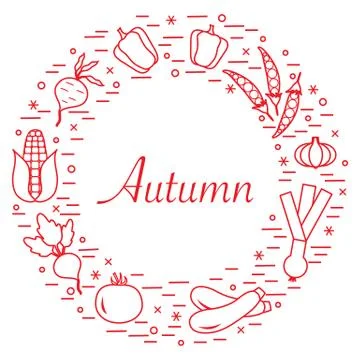 Cute vector illustration of different autumn seasonal vegetables arranged in  스톡 일러스트