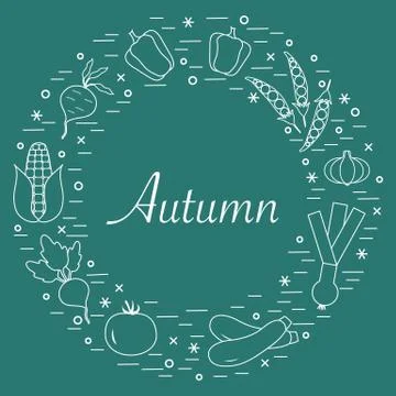 Cute vector illustration of different autumn seasonal vegetables arranged in  스톡 일러스트