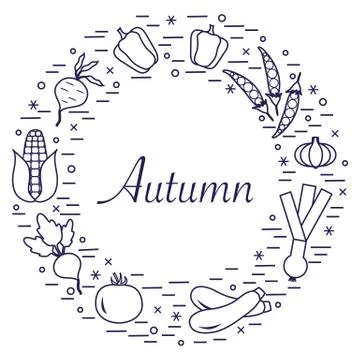 Cute vector illustration of different autumn seasonal vegetables arranged in  스톡 일러스트