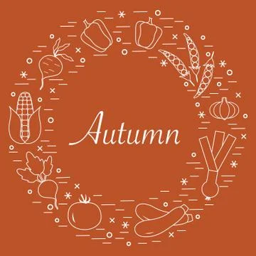 Cute vector illustration of different autumn seasonal vegetables arranged in  스톡 일러스트