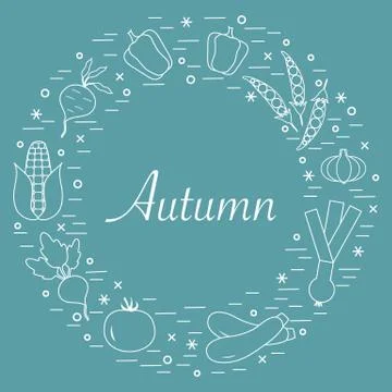 Cute vector illustration of different autumn seasonal vegetables arranged in  스톡 일러스트