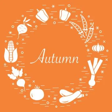 Cute vector illustration of different autumn seasonal vegetables arranged in  스톡 일러스트