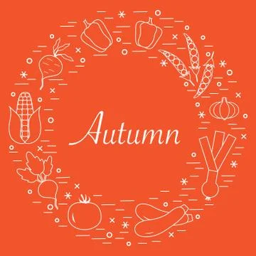 Cute vector illustration of different autumn seasonal vegetables arranged in  스톡 일러스트