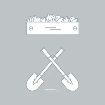 Cute vector illustration of harvest: two shovels and box of garlic. Stock Illustration