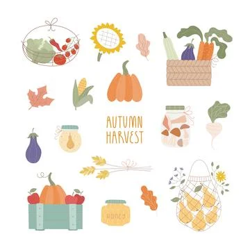 Cute vector illustrations set with pear in eco bag, cute pumpkin, vegetables in Stock Illustration
