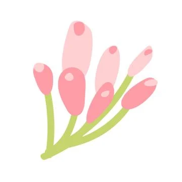 Cute vector isolated Flower on white background. Spring hand drawn Nature Stock-Illustration