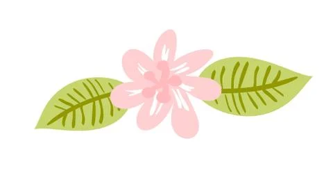Cute vector isolated Flower on white background. Spring hand drawn Nature Stock Illustration